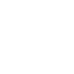 Samsung Samsung Ikona S Pen Ff12