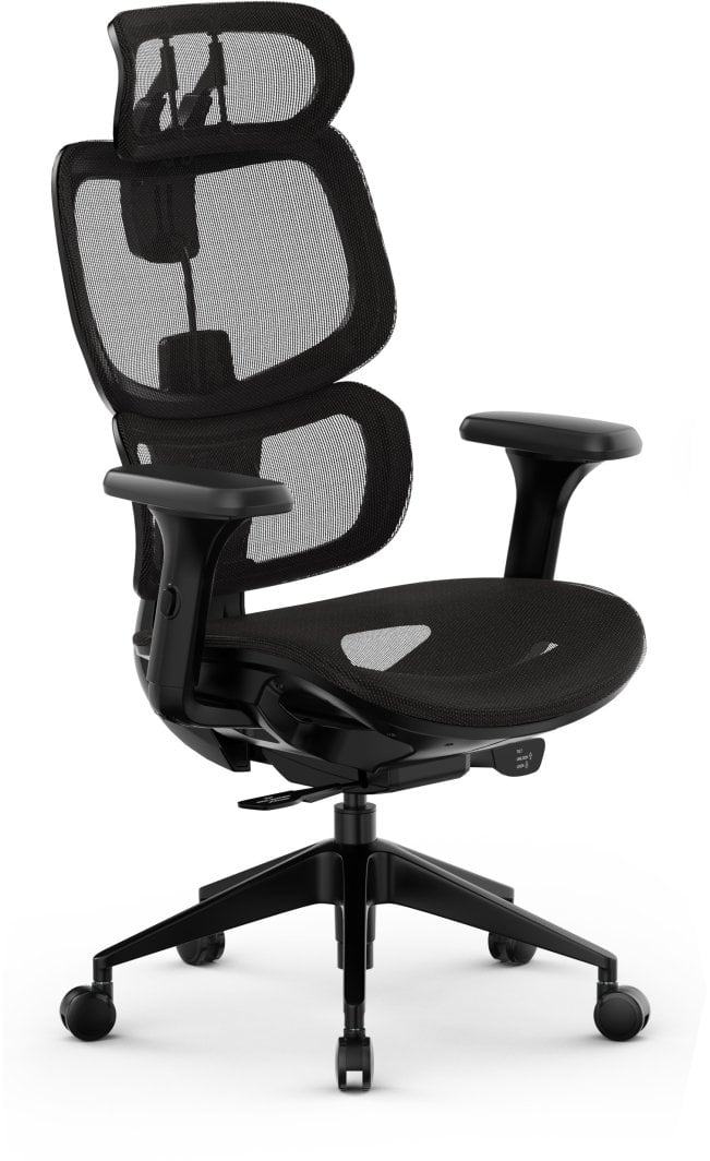 SENSE7 Nobu uredska stolica