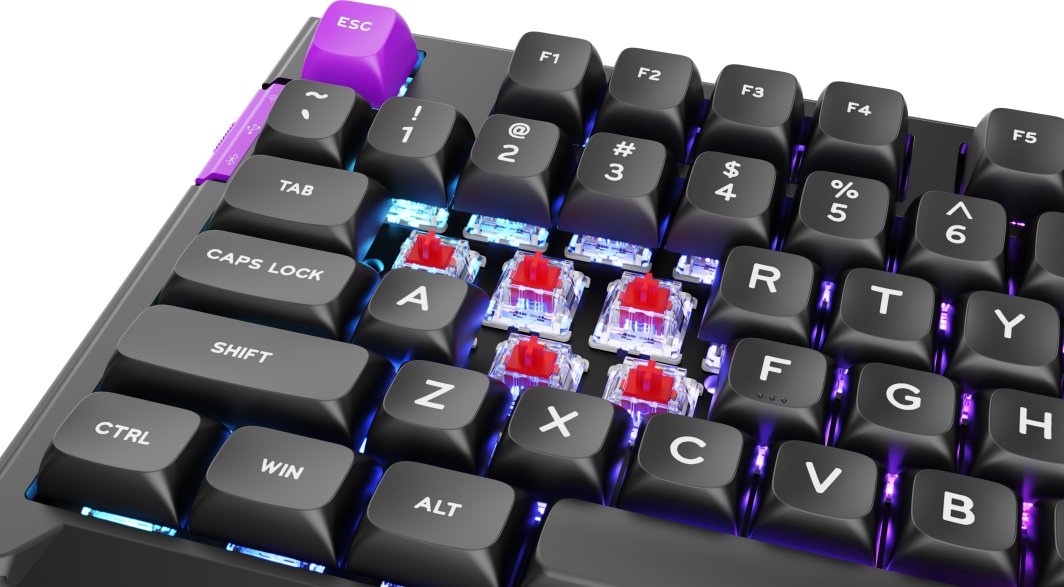 PREYON Silent Claw TKL tipkovnica - TKL zasnova za prihranek prostora