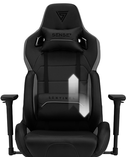 Dinamika in udobje stola Sentinel